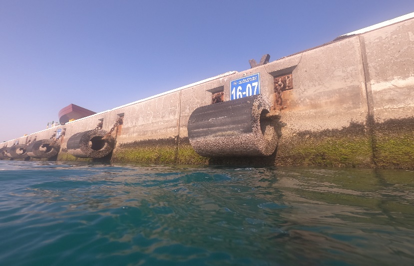 Abu Dhabi Port Inspections - Image 1