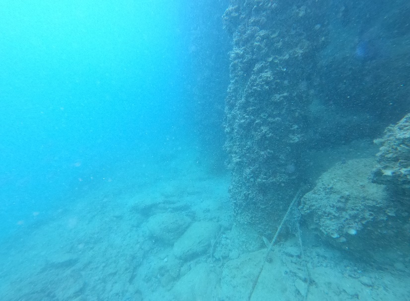 Abu Dhabi Port Inspections - Image 4