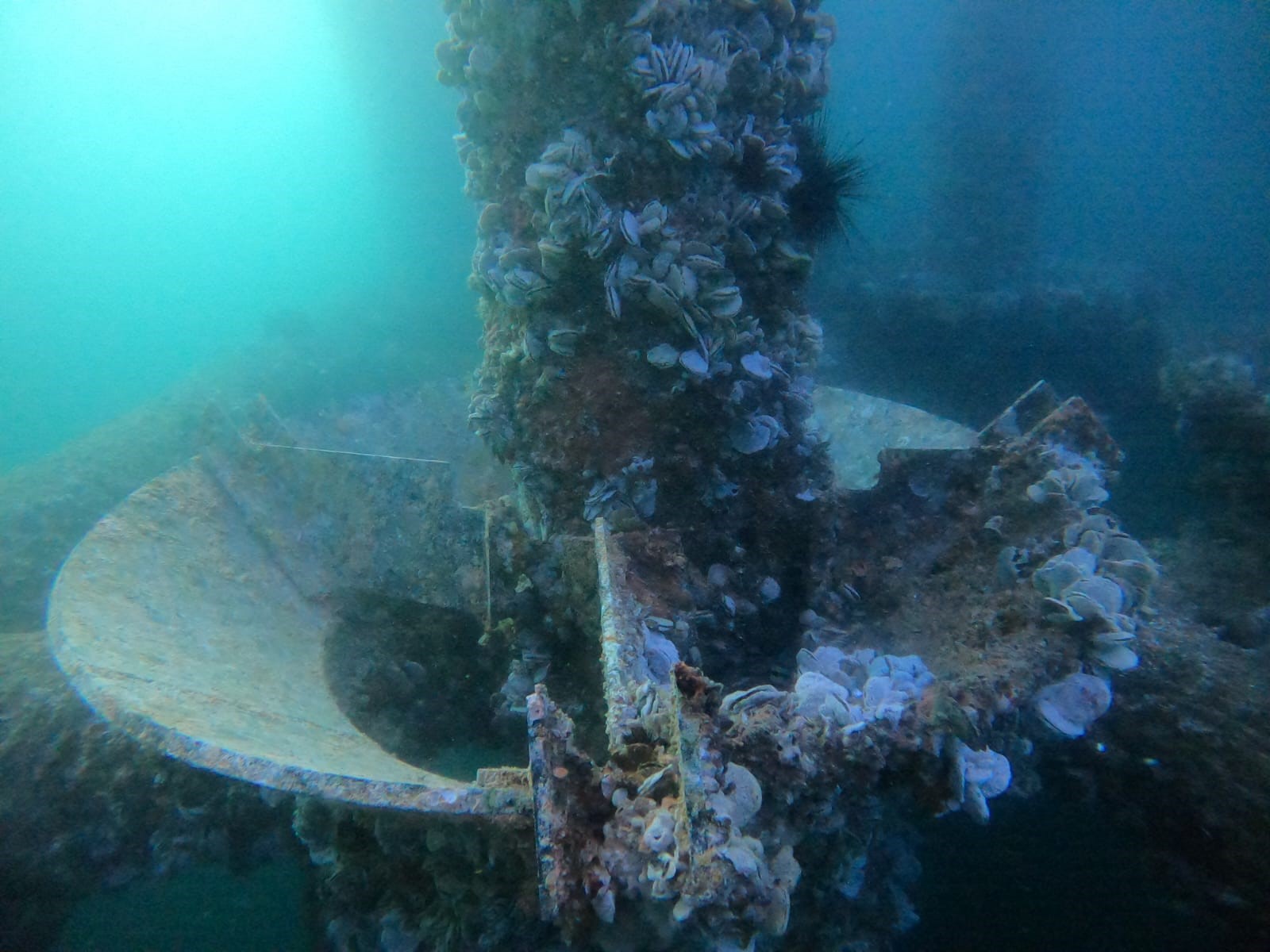 Decommissioning of an Offshore Platform - Image 4