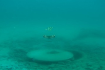 ROV Pipeline Inspection