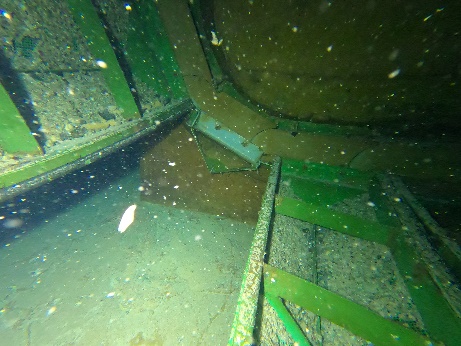 Power Plant – Travelling Band Screen Repairs - Image 3