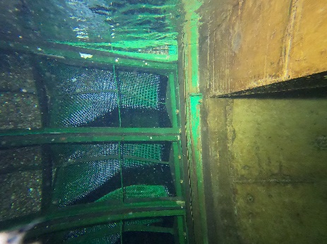 Power Plant – Travelling Band Screen Repairs - Image 5