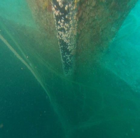 Seawater Intake line rectifications - Image 8