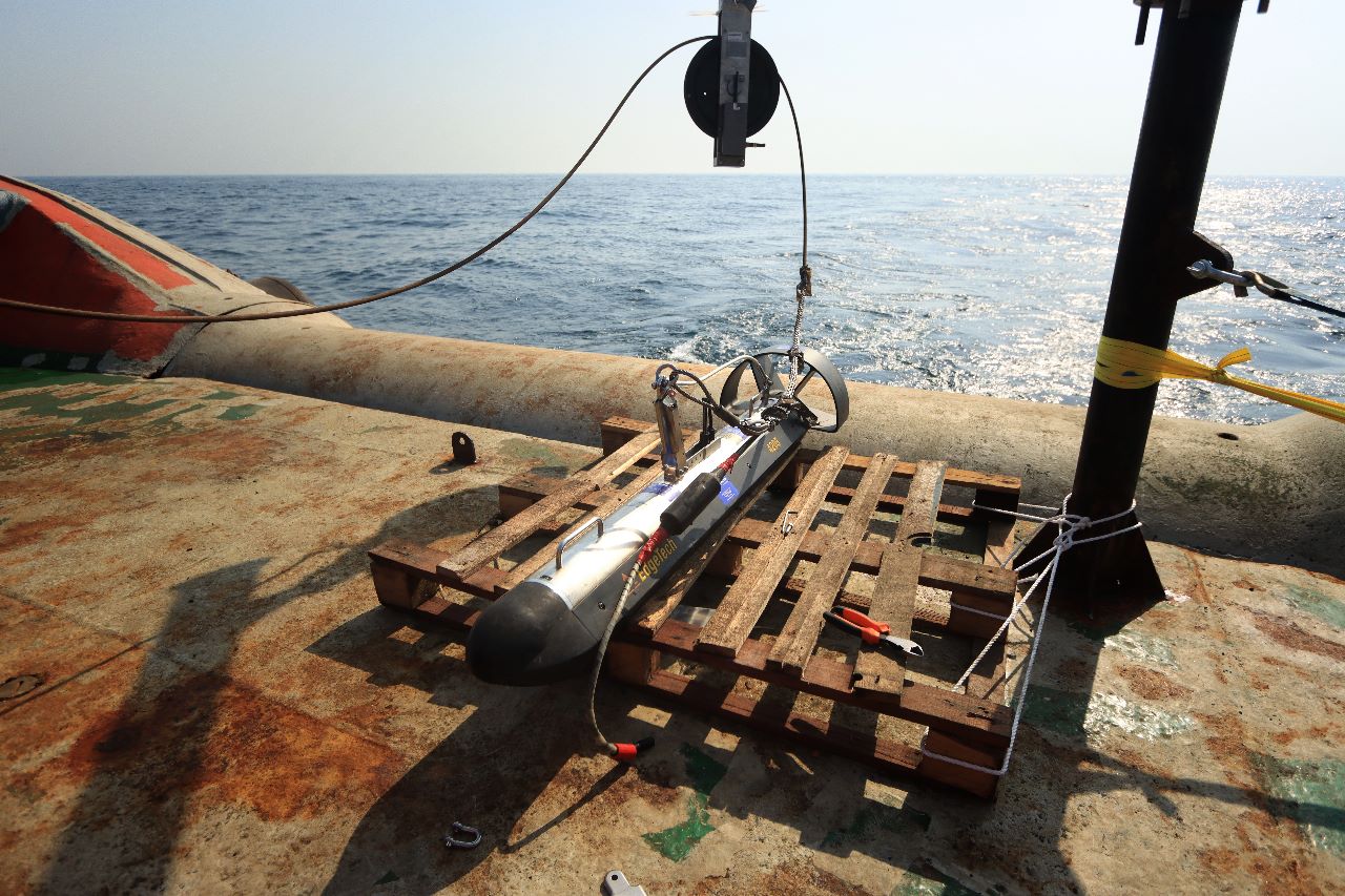 Sidescan Sonar - Pipeline Freespan - Image 2